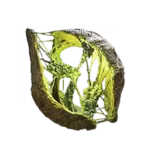 Crust