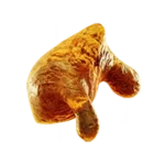 Goldfish
