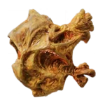 Meat Chunk