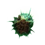 Mold