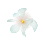 Petal