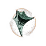 Spinner