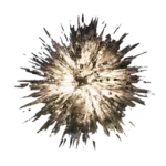 Urchin