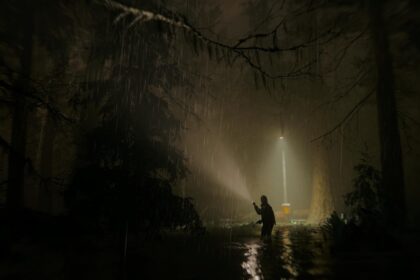 A dark forest at night lit by a single torch beam