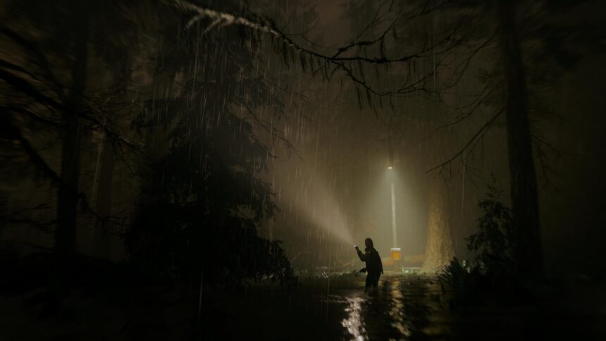 A dark forest at night lit by a single torch beam