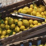 A sawn off lupara hidden in a crate of lemons