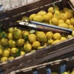 A sawn off lupara hidden in a crate of lemons