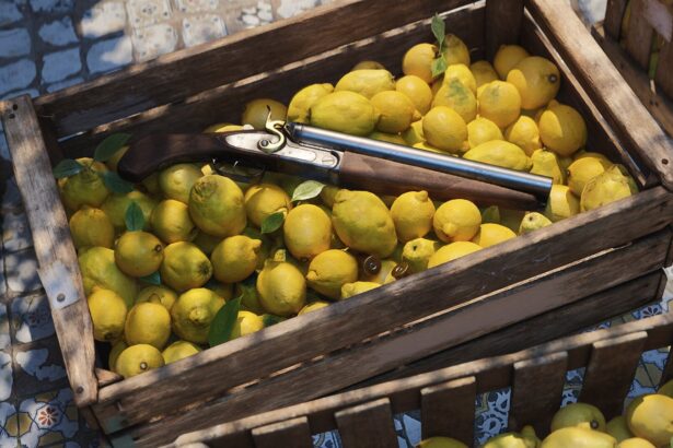 A sawn off lupara hidden in a crate of lemons
