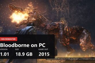 Hunter facing a burning beast in Bloodborne with the mod figures over the frame