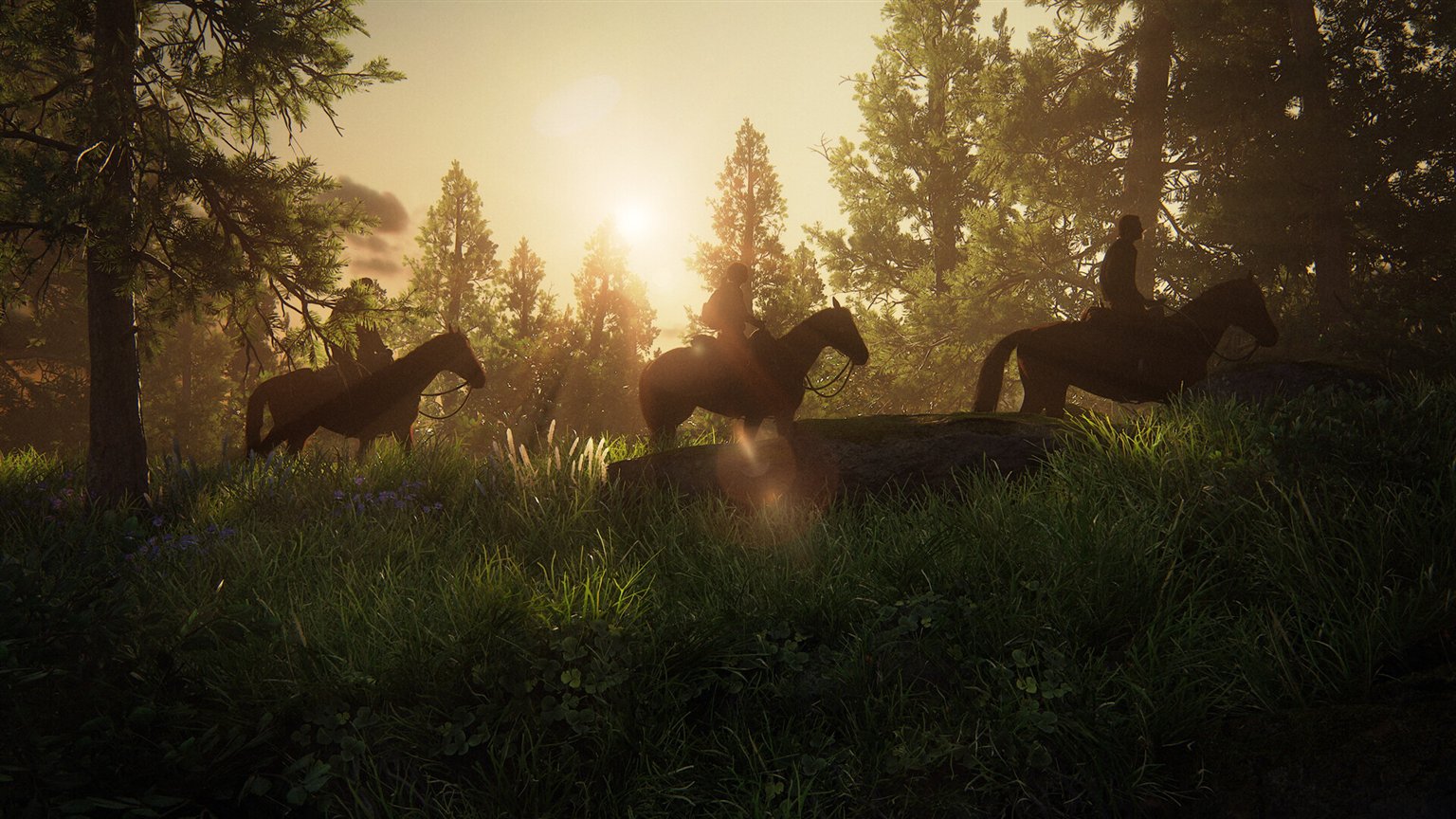 The Last of Us