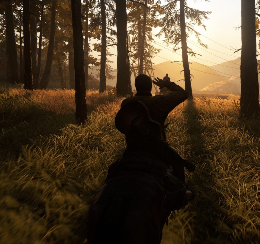 A summer forest