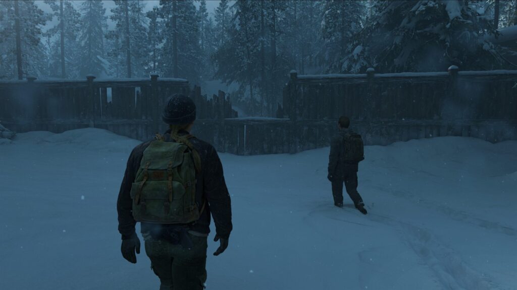 Winter patrol near Jackson