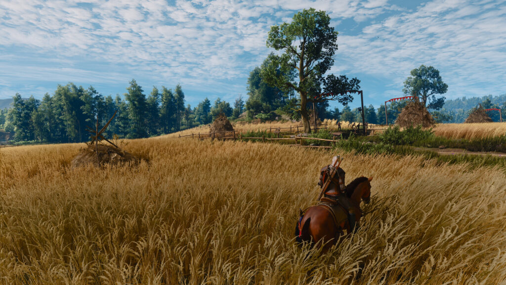 Геральт верхом на Плотве в пшеничном поле, The Witcher 3