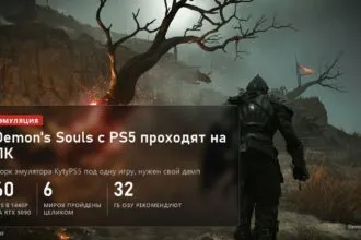 Demon's Souls с PS5 на ПК в форке эмулятора KytyPS5, 60 FPS в 1440p