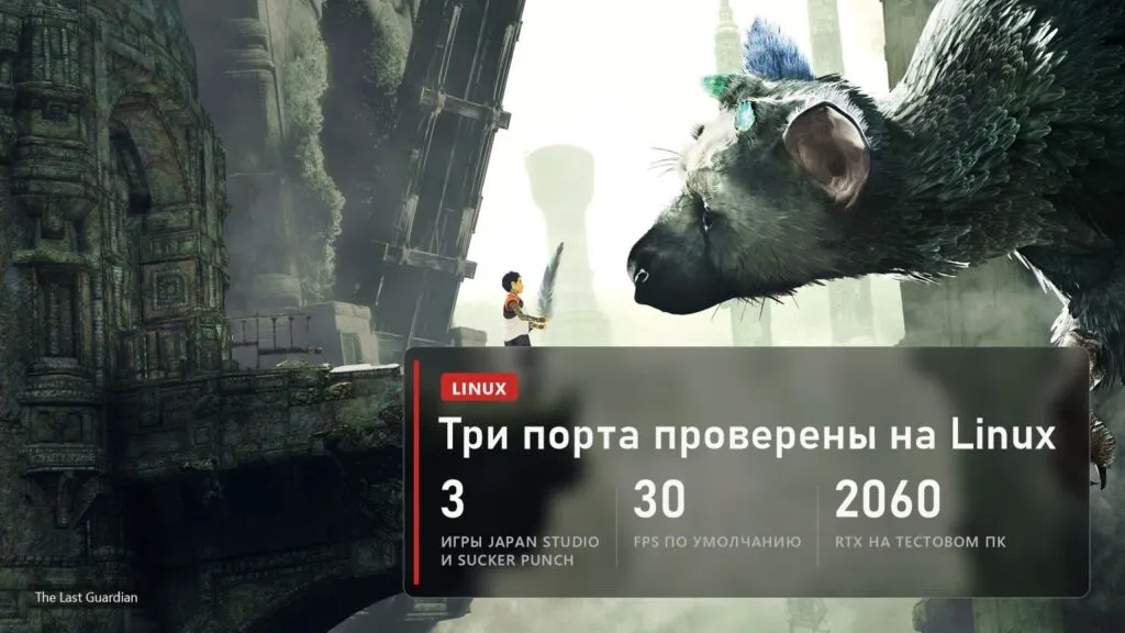 The Last Guardian: три порта HayatoG проверены только на Linux, 30 FPS по умолчанию