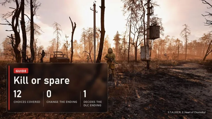 Kill Squint, Nimble or Docent? 12 Stalker 2 choices and what each one costs you