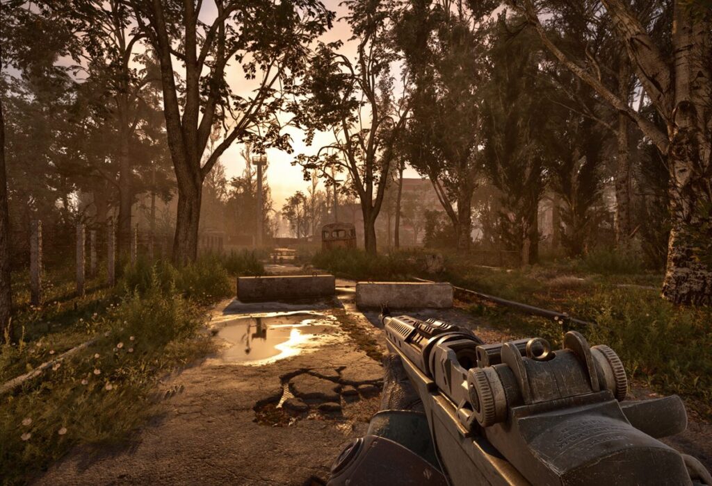 Аномалия в лесу в S.T.A.L.K.E.R. 2
