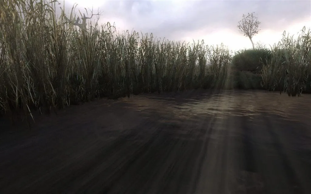 The swamps in S.T.A.L.K.E.R.: Clear Sky